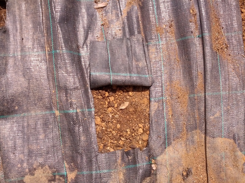 IMG_20140621_124905s