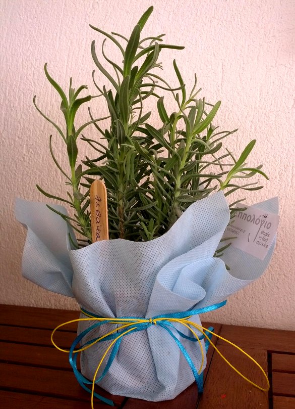 IMG_20140711_115843sc