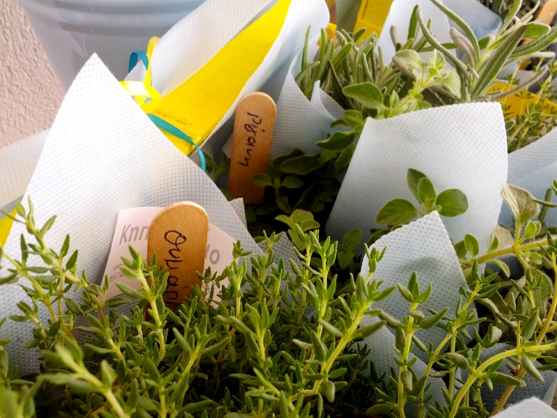 IMG_20140711_120228s