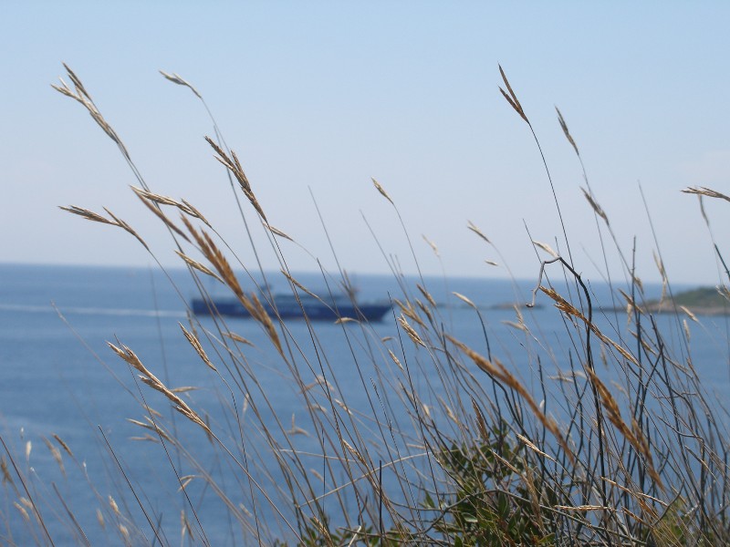 Έρχεται το πλοίο πίσω από τα αγρωστώδη