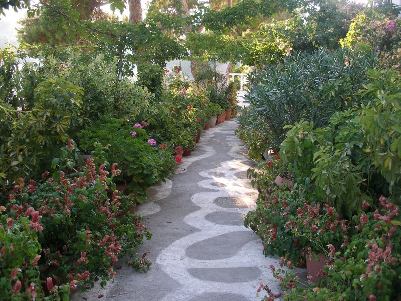 Μαγικό μονοπάτι σε μαγική αυλή