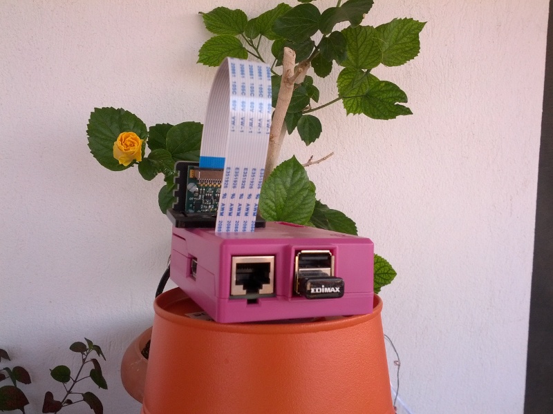 IMG_20140812_082914s