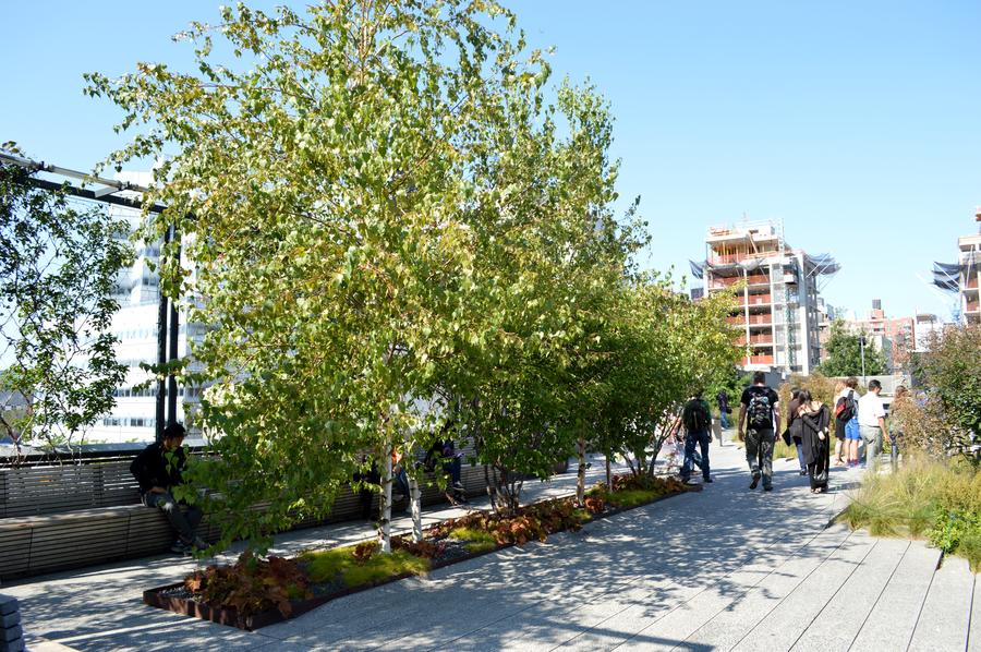 The High Line park New York
