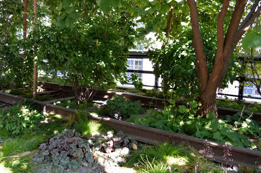 The High Line park New York