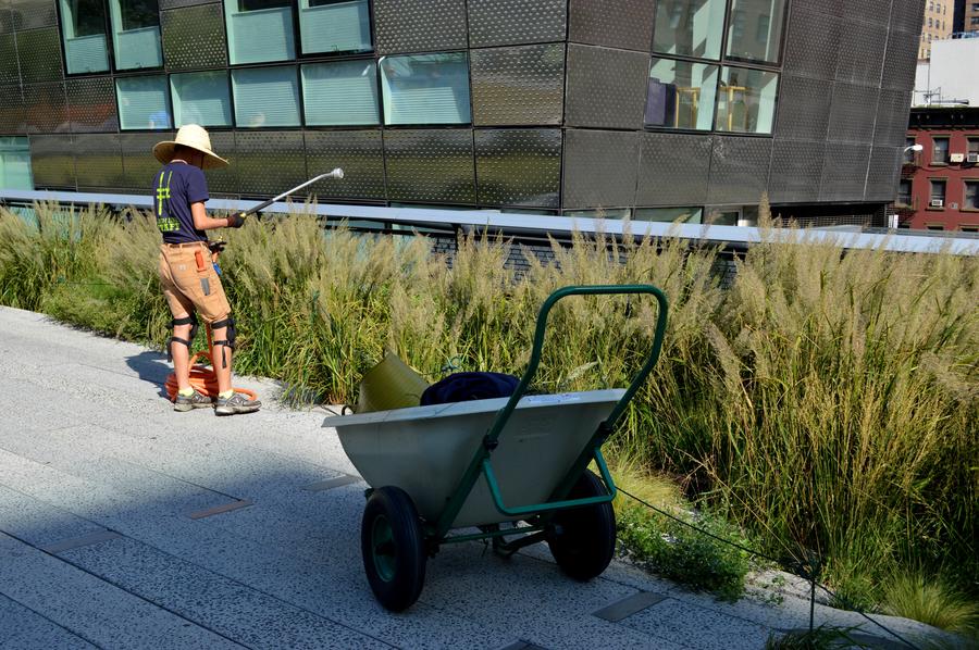 The High Line park New York