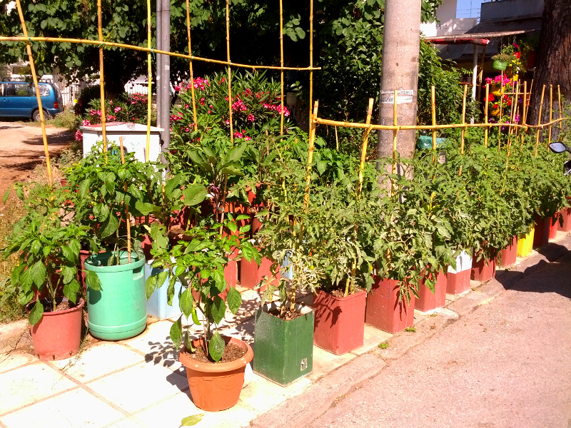 IMG_20150602_1023081s