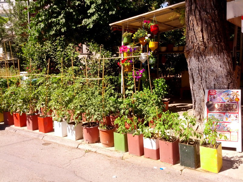 IMG_20150602_102536s