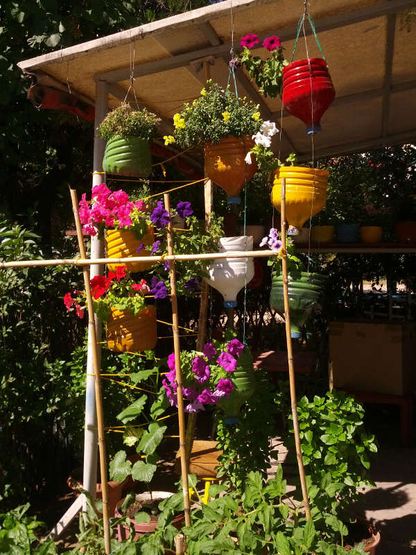 IMG_20150602_102543s