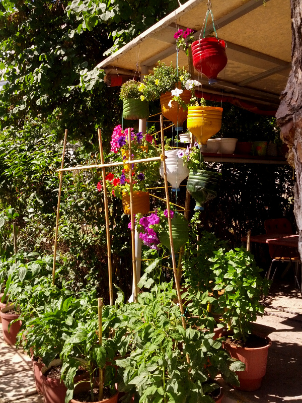 IMG_20150602_102558s