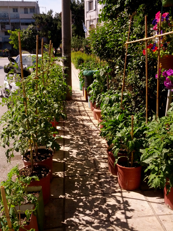 IMG_20150602_102604s