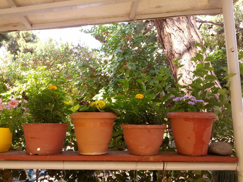 IMG_20150602_102626s